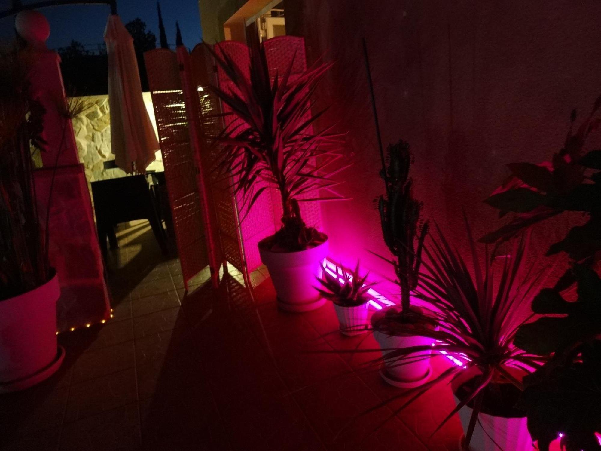 Las Palomas, Appartement 3 Chambres Avec Piscine Turis Bagian luar foto