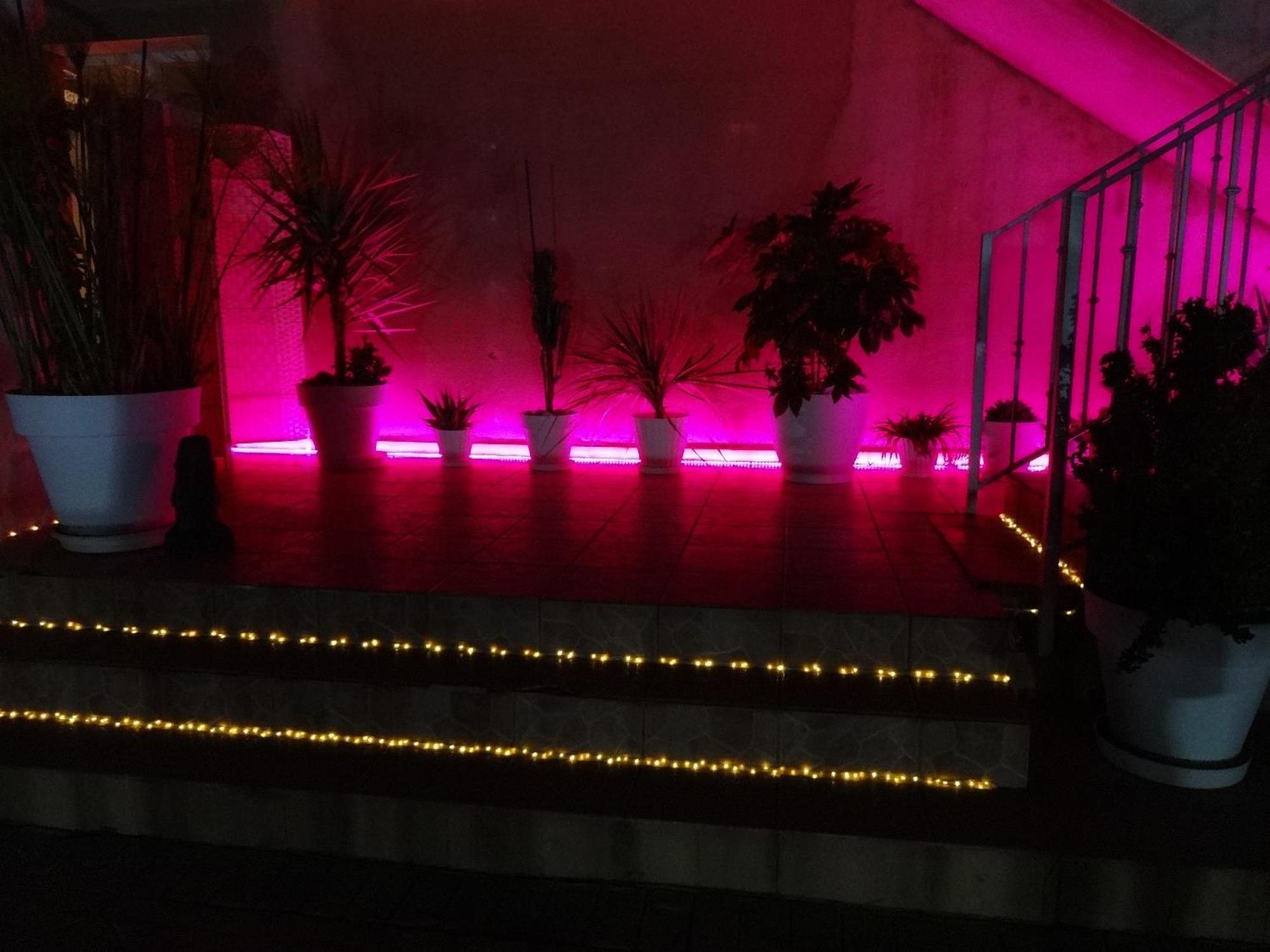 Las Palomas, Appartement 3 Chambres Avec Piscine Turis Bagian luar foto